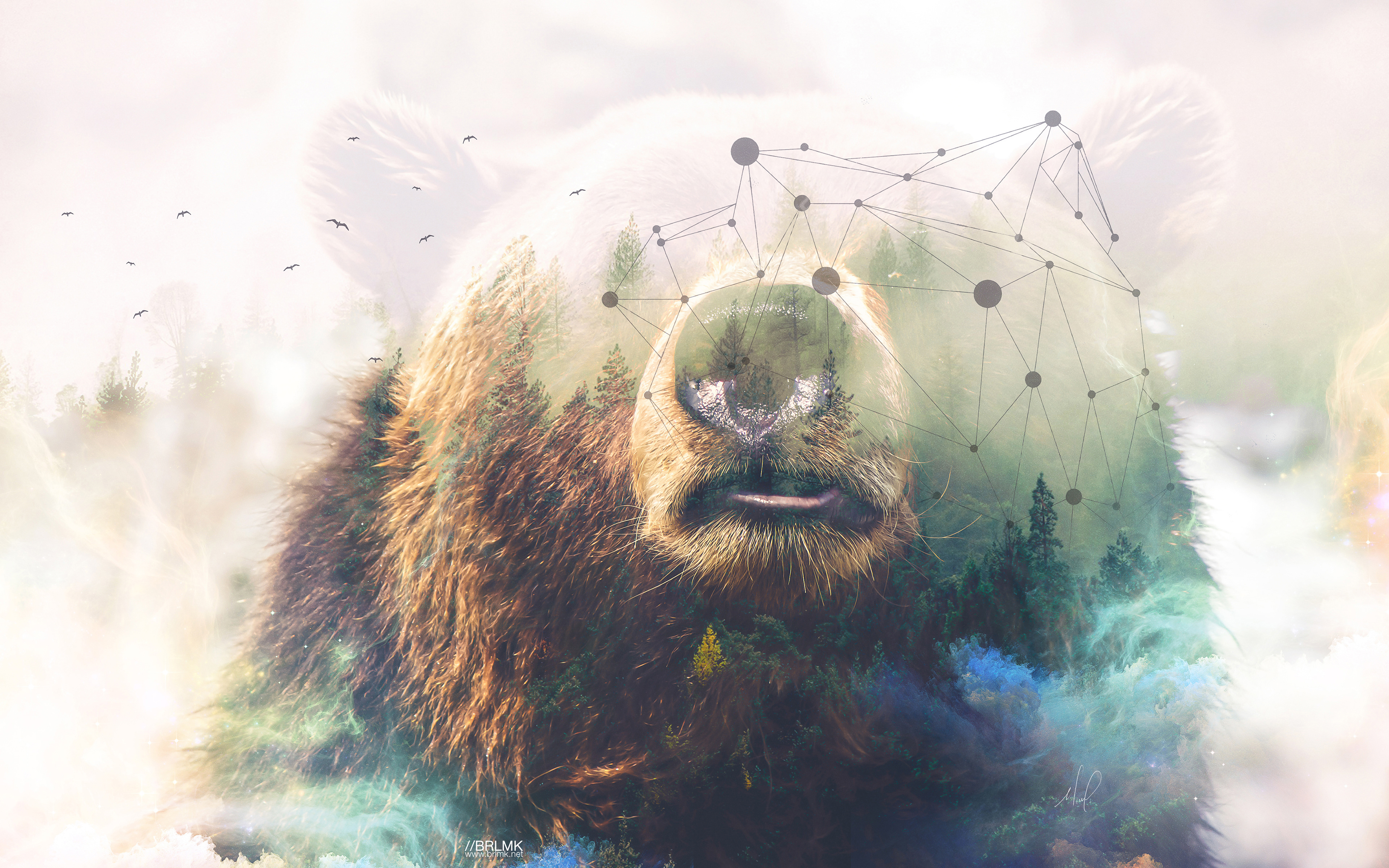 Grizzly bear Forest Double Exposure 4K5071518985 - Grizzly bear Forest Double Exposure 4K - Maller, Grizzly, Forest, Exposure, Double, Bear